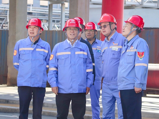 王大真到新疆、青海區(qū)域分子公司現(xiàn)場辦公(圖2)