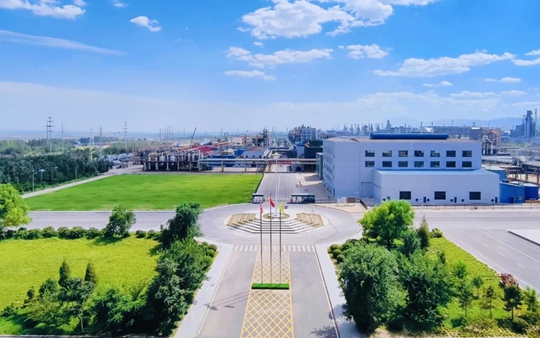 內(nèi)蒙古宜化榮獲自治區(qū)科學(xué)技術(shù)進(jìn)步二等獎(圖1)